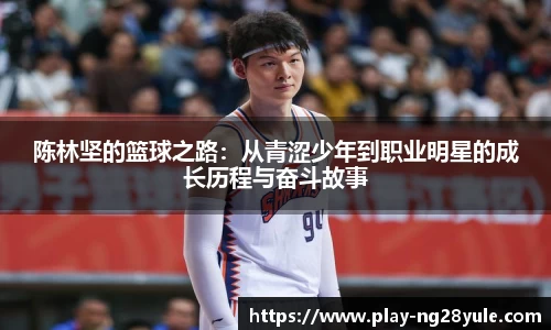 南宫28官网